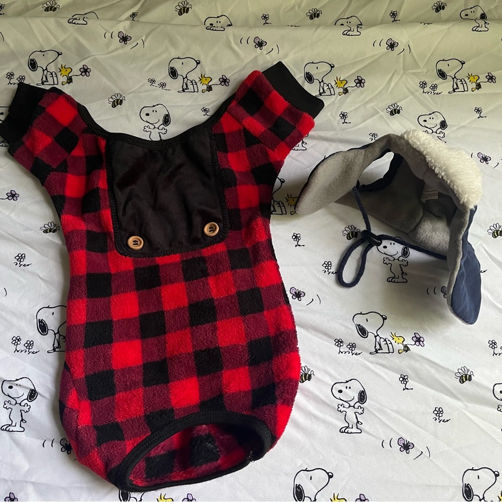 Adorable pet gear